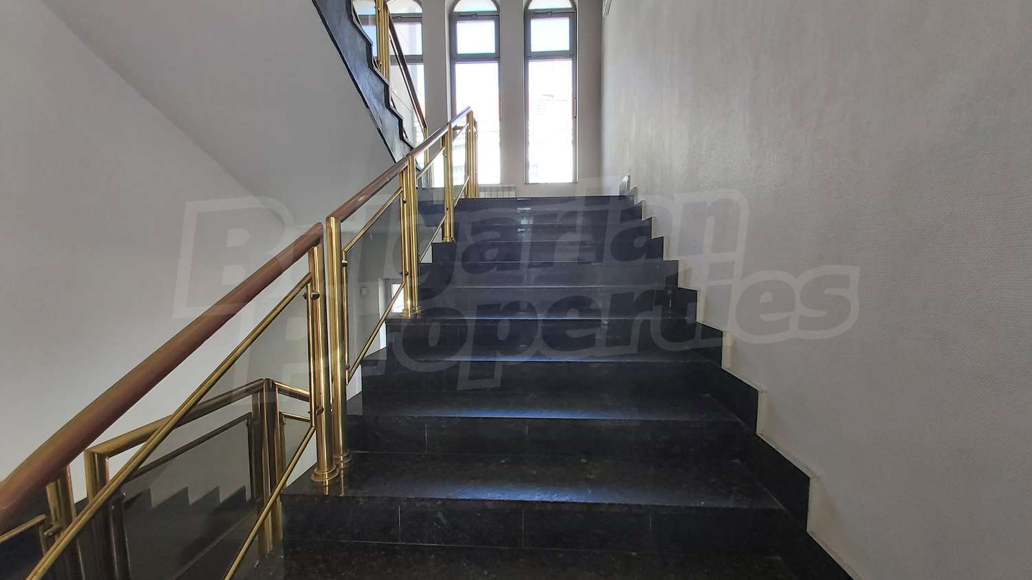 Gallery Picture 10