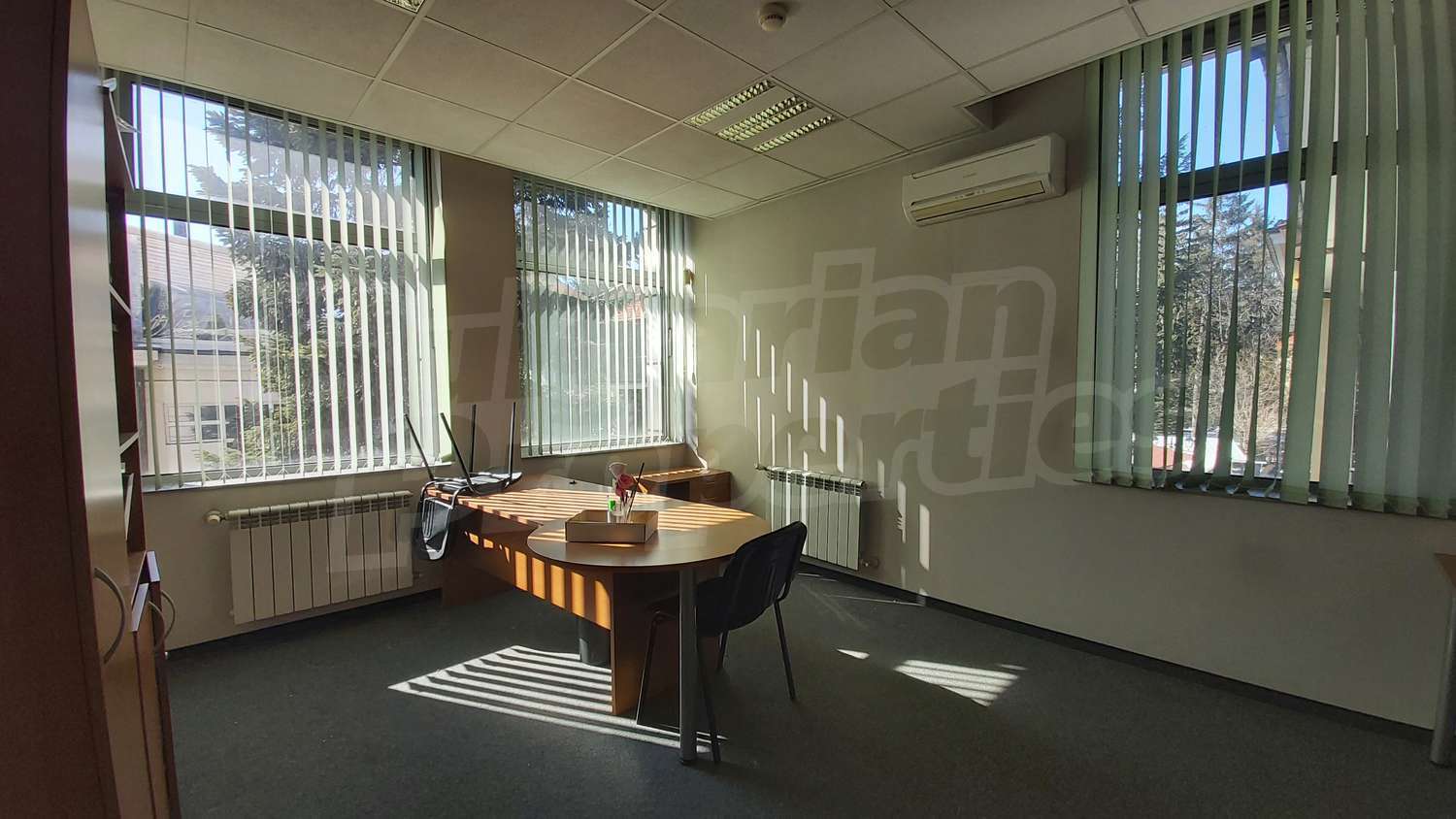 Gallery Picture 17