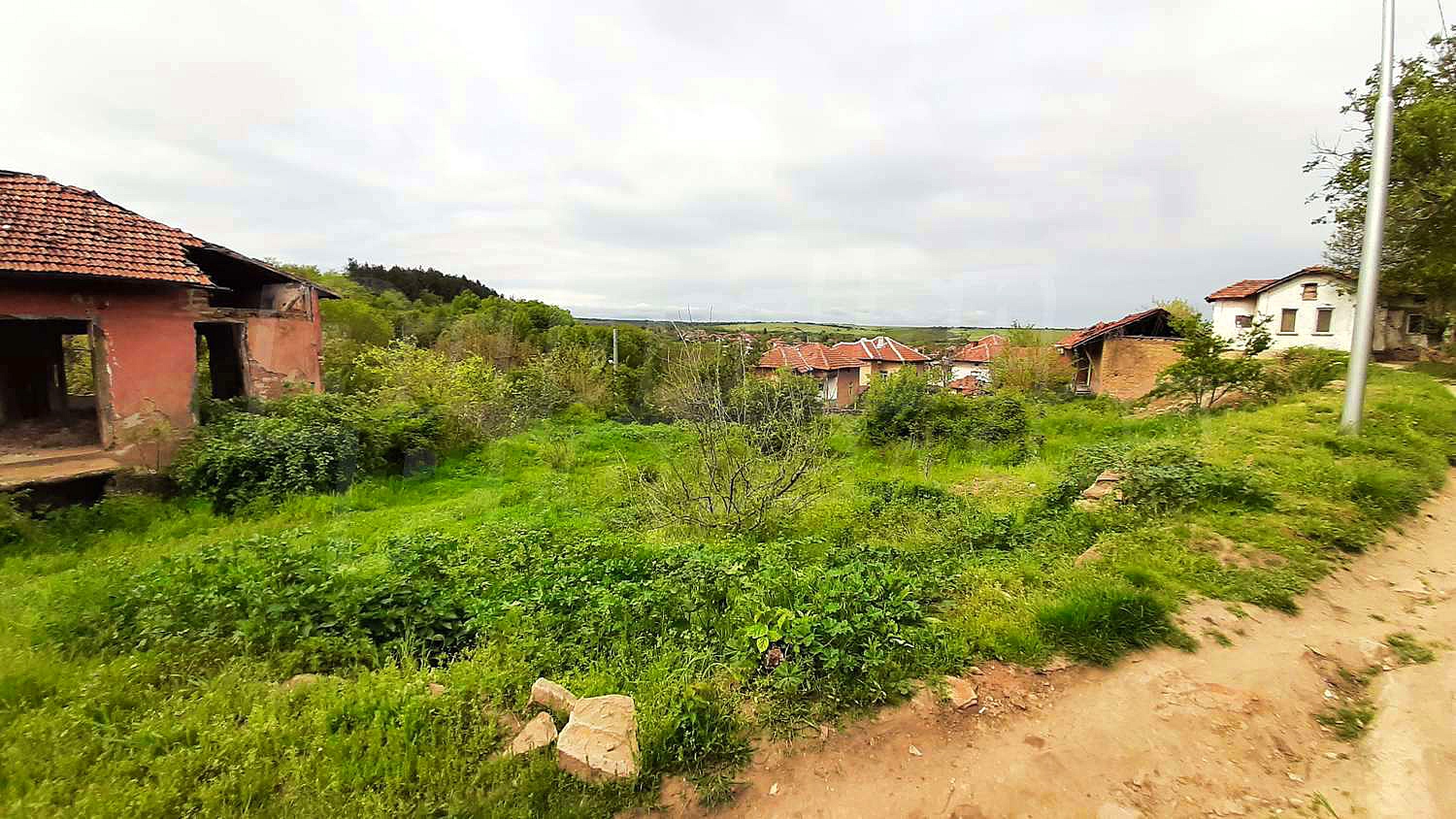 Gallery Picture 6