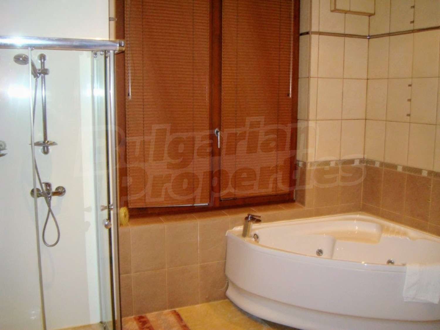 Gallery Picture 21
