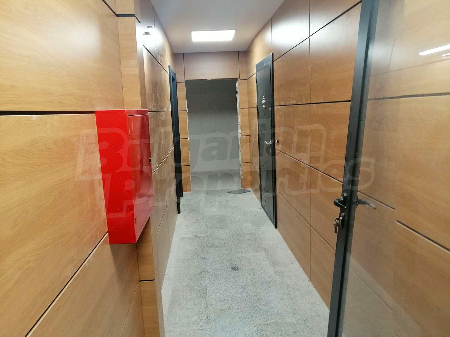 Gallery Picture 12