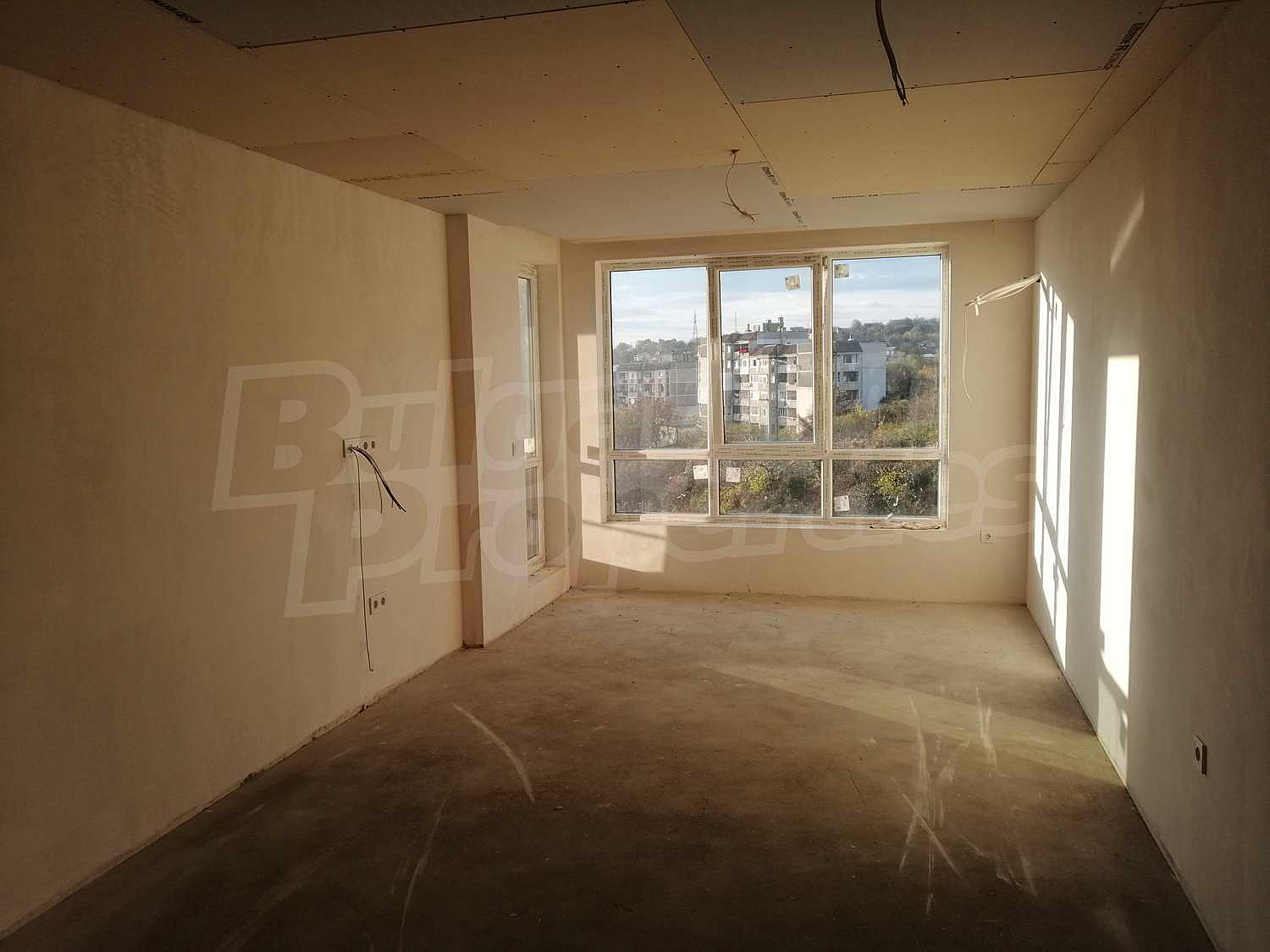 Gallery Picture 7