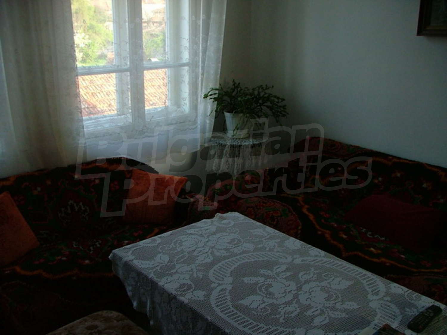 Gallery Picture 13