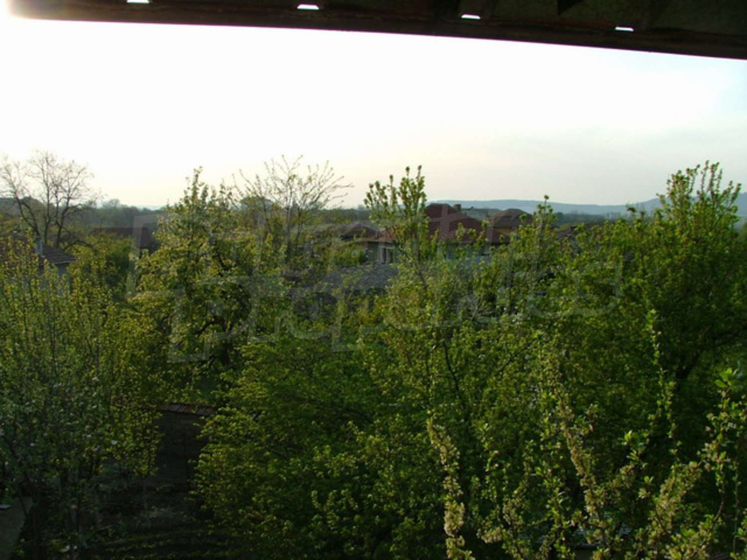 Gallery Picture 17