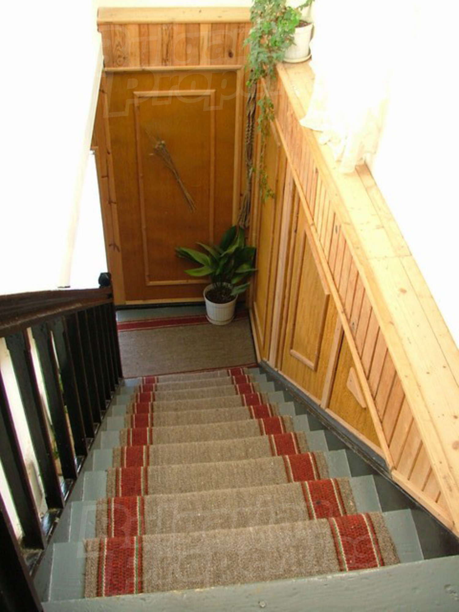 Gallery Picture 19