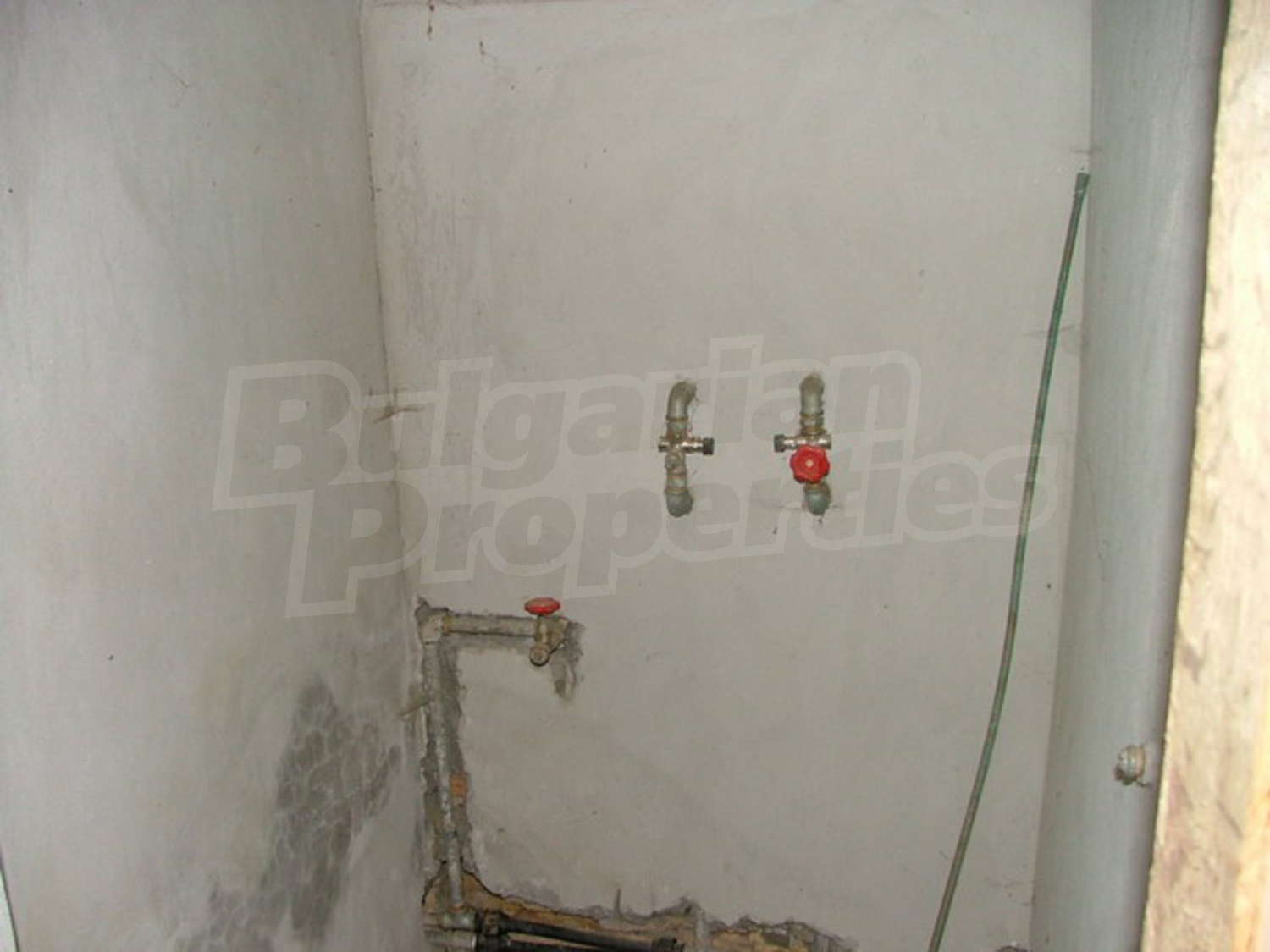 Gallery Picture 25