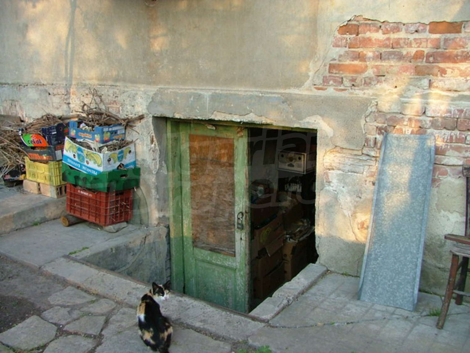 Gallery Picture 29