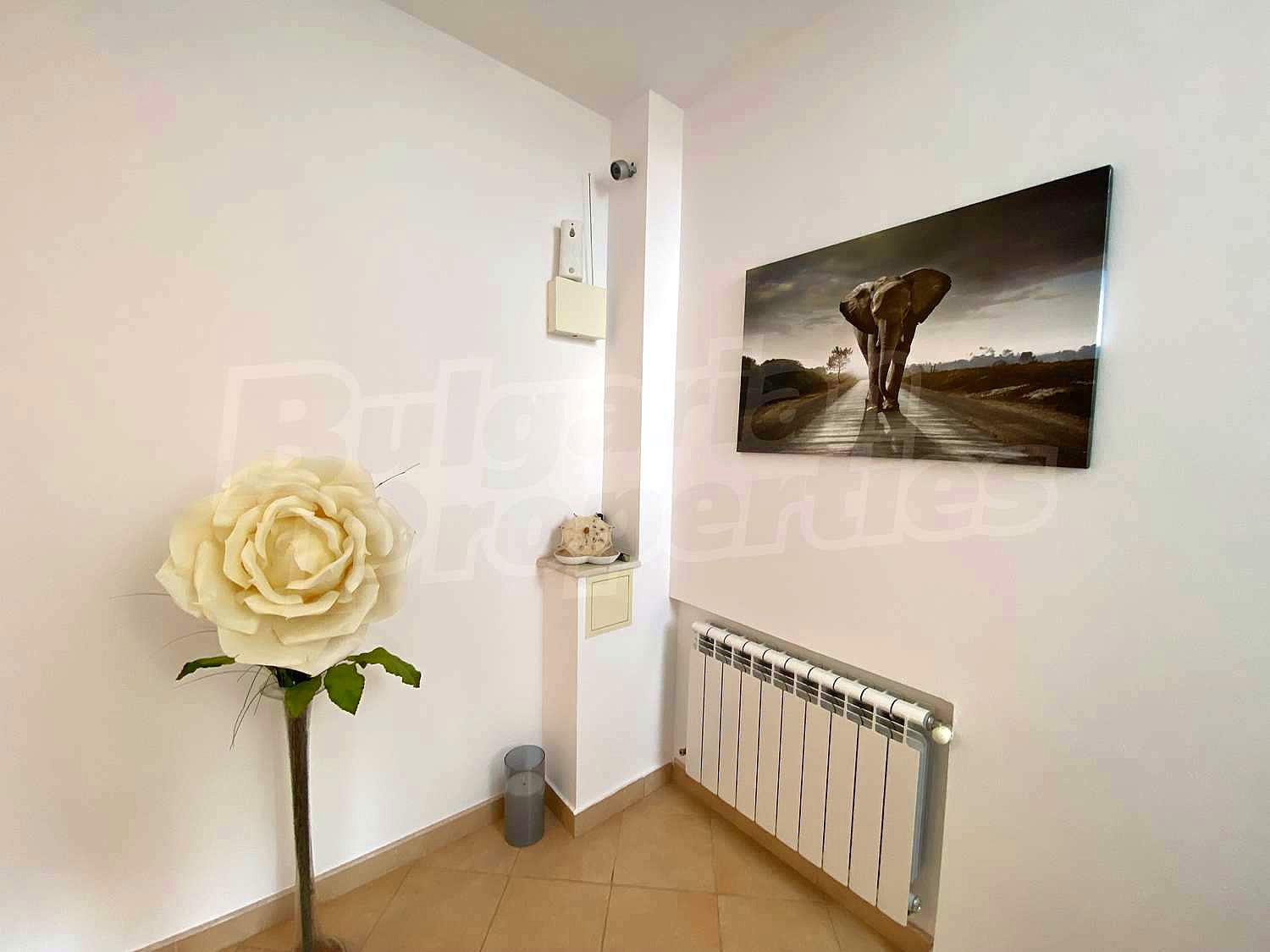 Gallery Picture 43