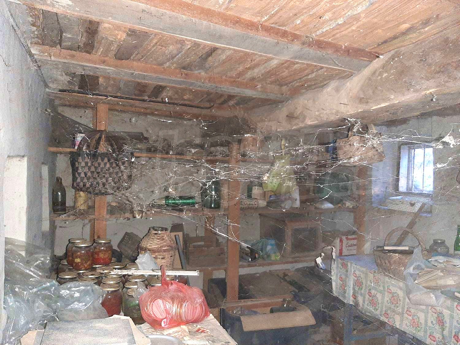 Gallery Picture 16