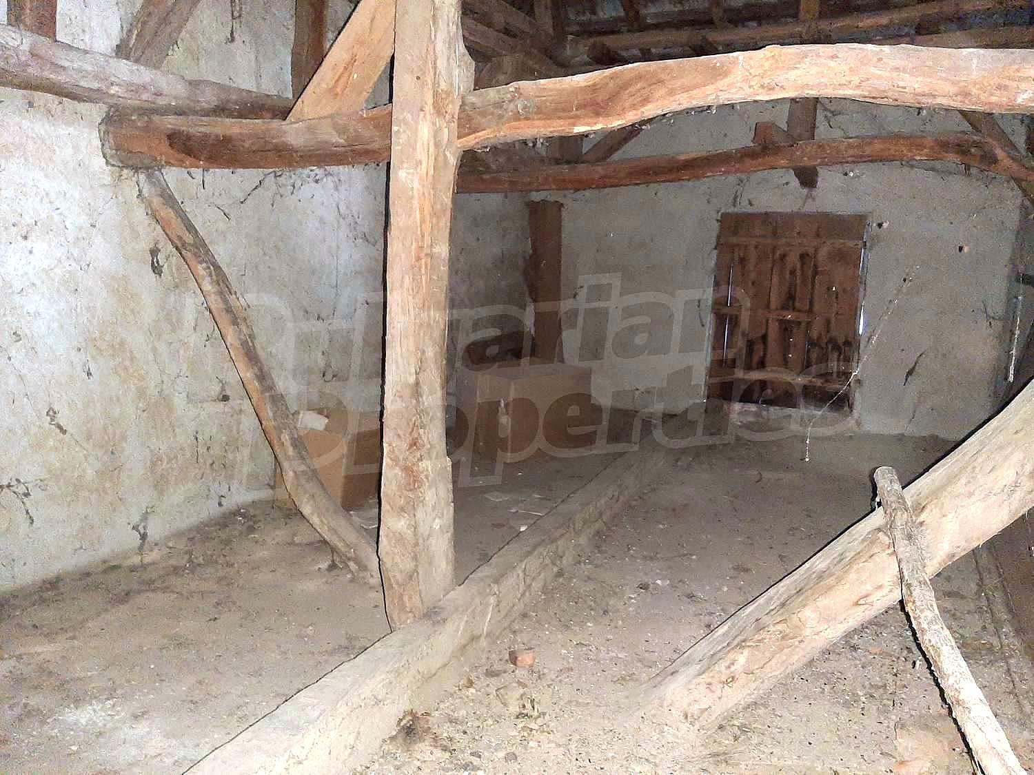 Gallery Picture 22