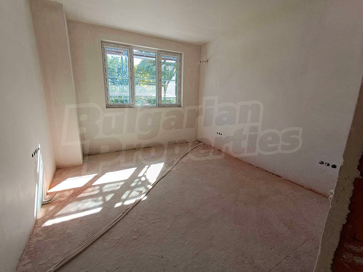 Gallery Picture 6