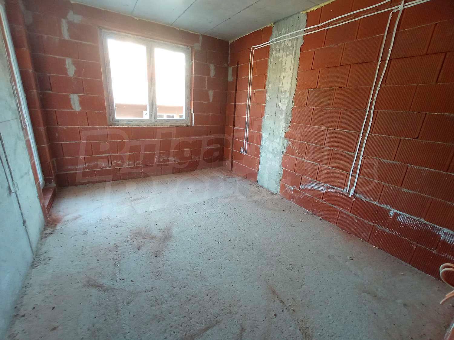 Gallery Picture 17