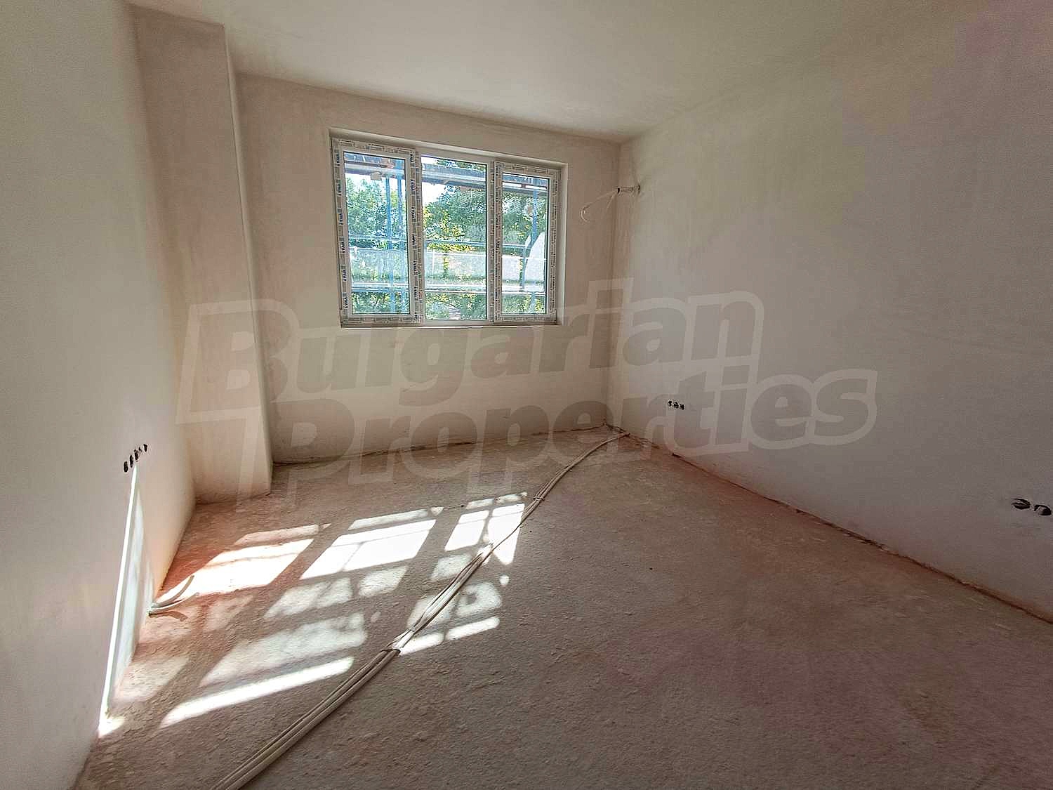 Gallery Picture 5