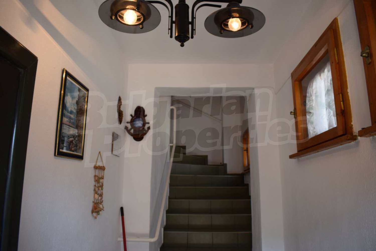 Gallery Picture 12