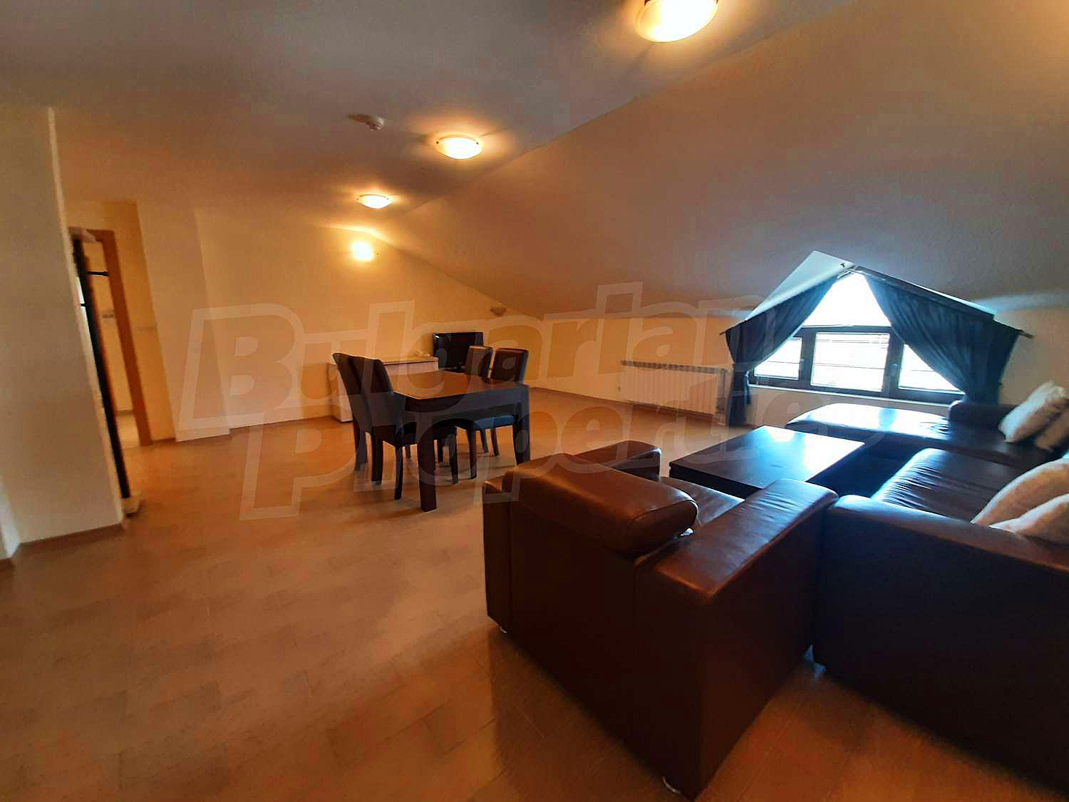 Gallery Picture 41