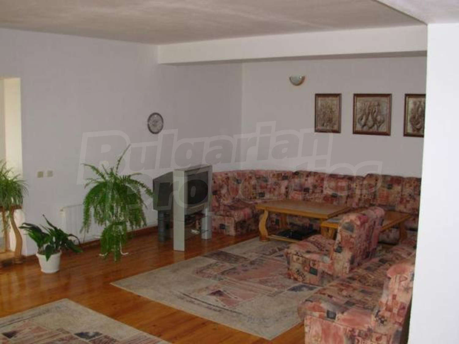 Gallery Picture 15
