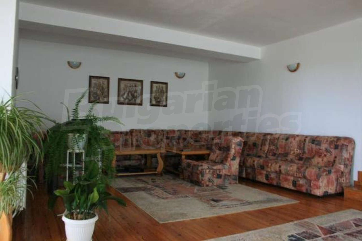 Gallery Picture 16