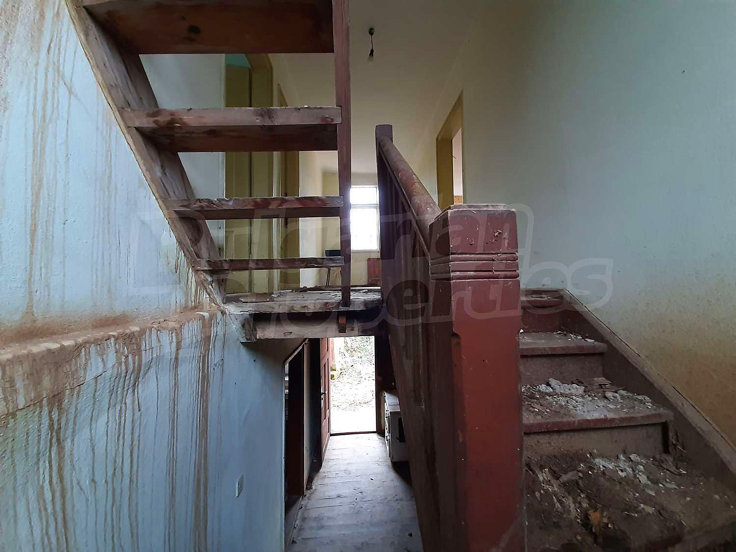 Gallery Picture 10