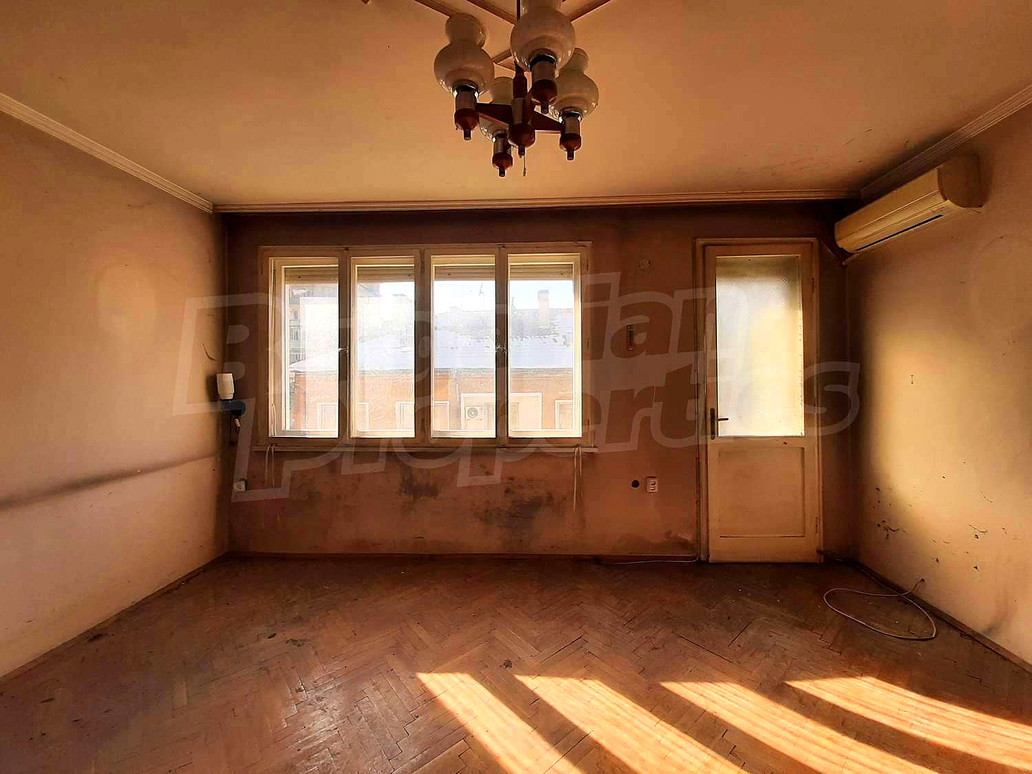 Gallery Picture 13