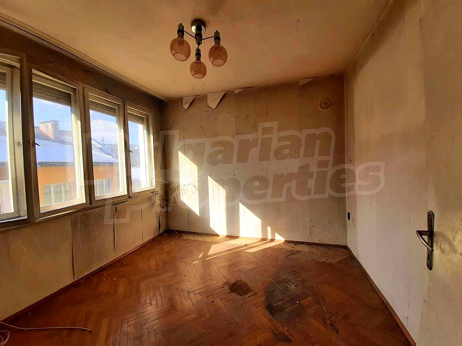 Gallery Picture 14