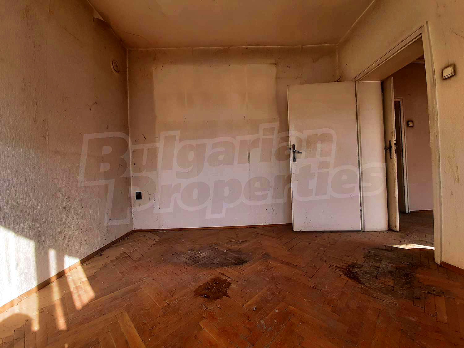 Gallery Picture 15