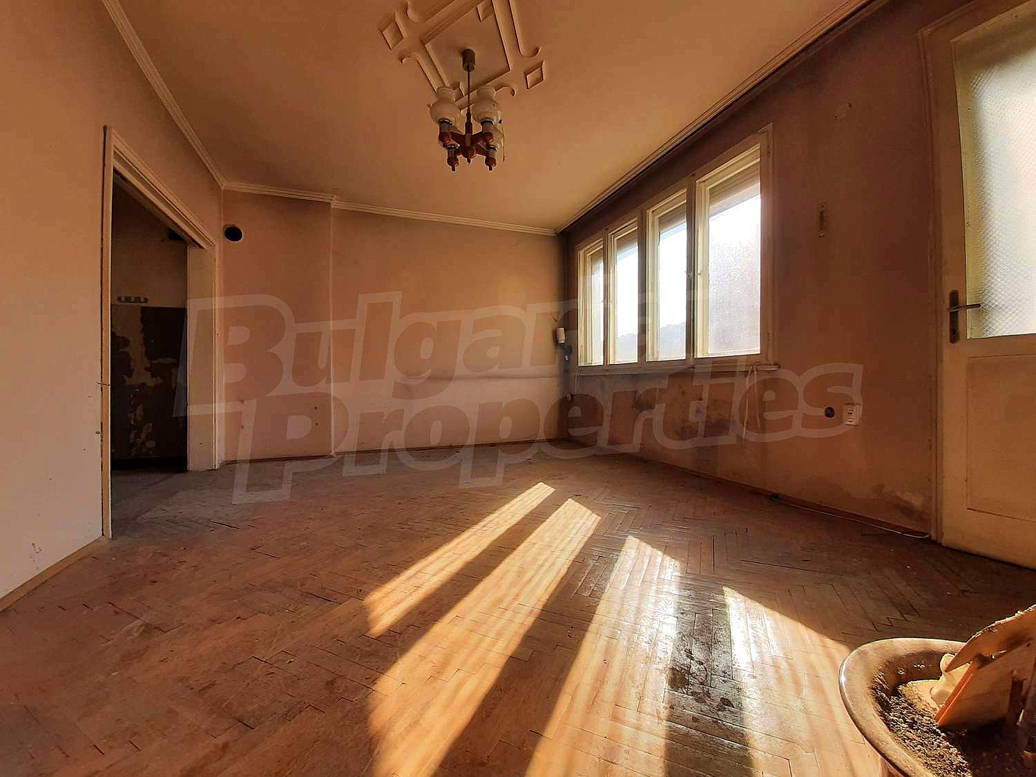 Gallery Picture 18