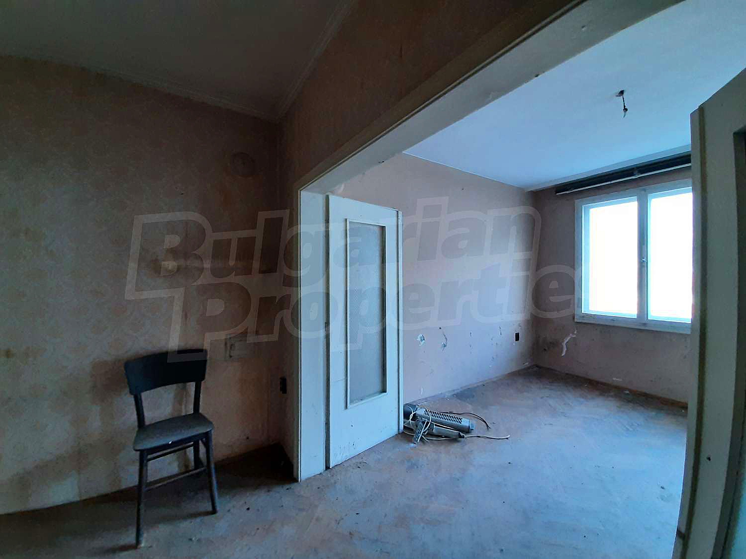 Gallery Picture 19