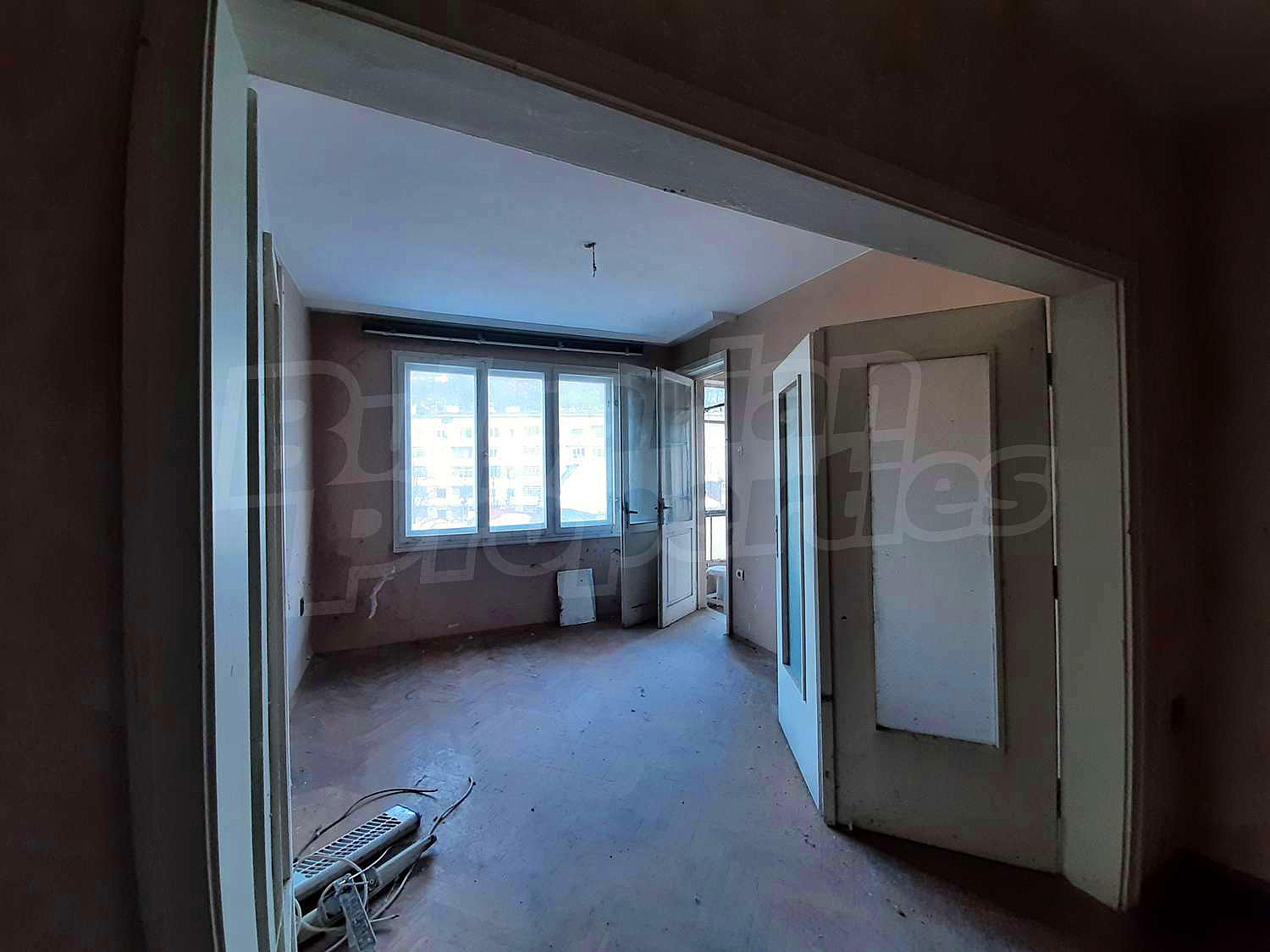 Gallery Picture 23