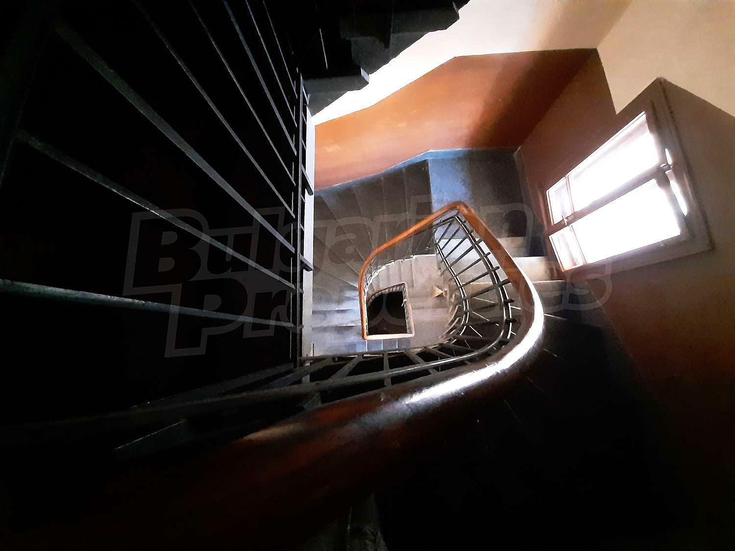 Gallery Picture 29