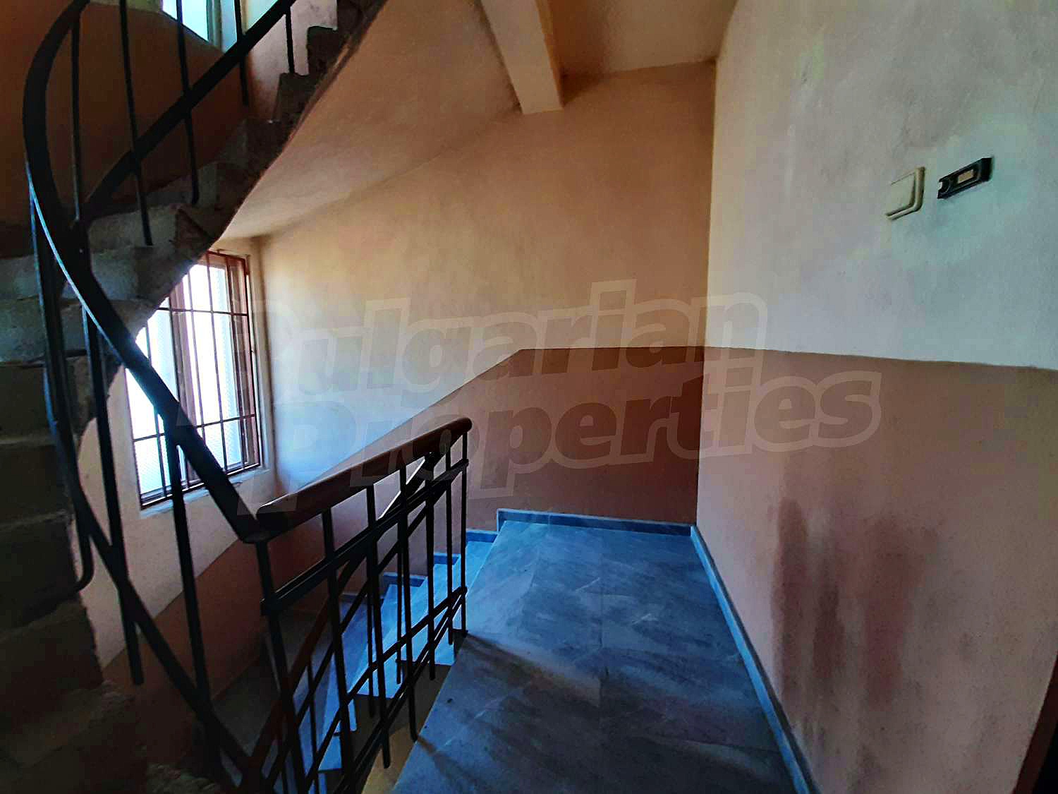 Gallery Picture 30