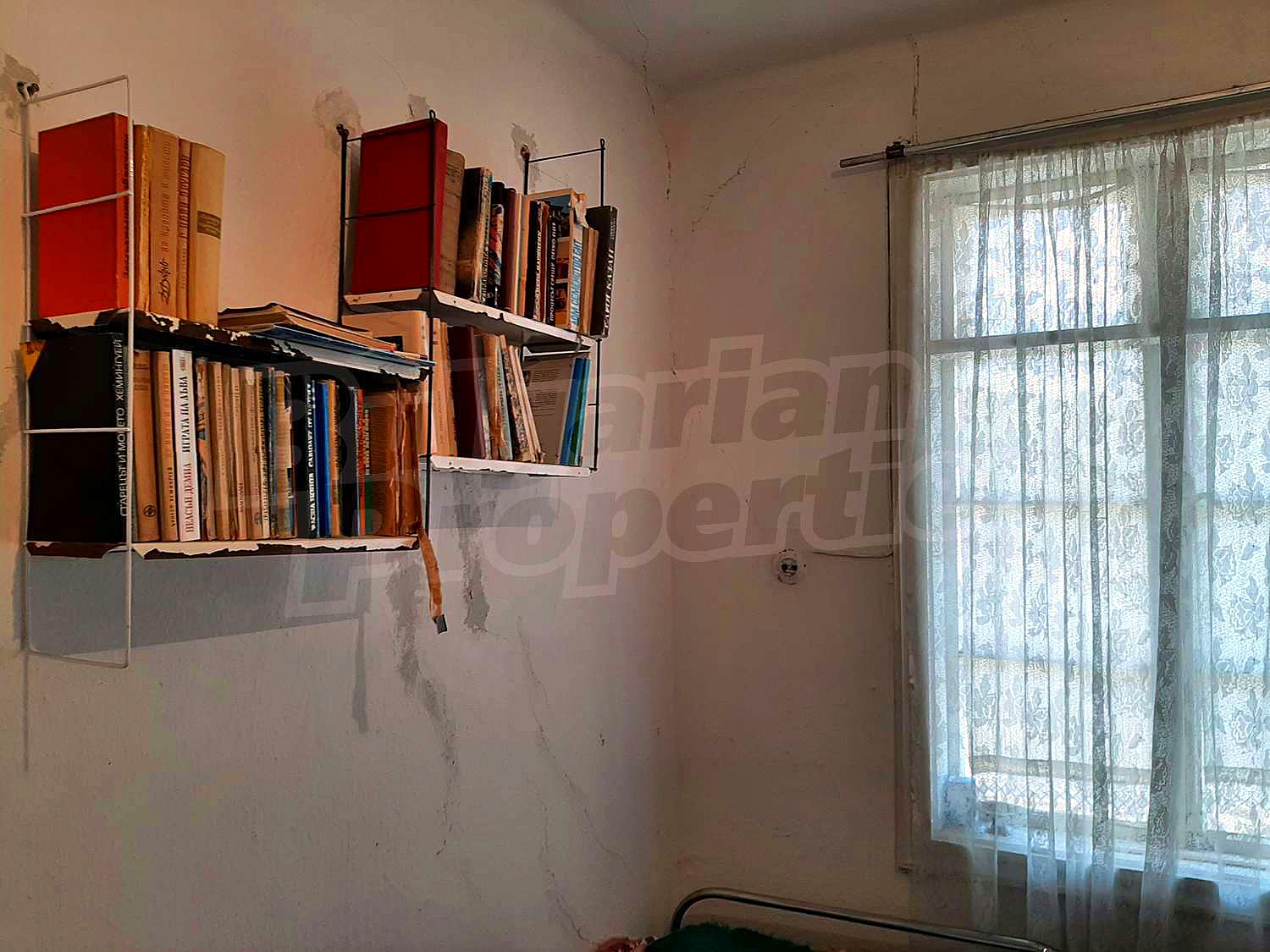 Gallery Picture 16