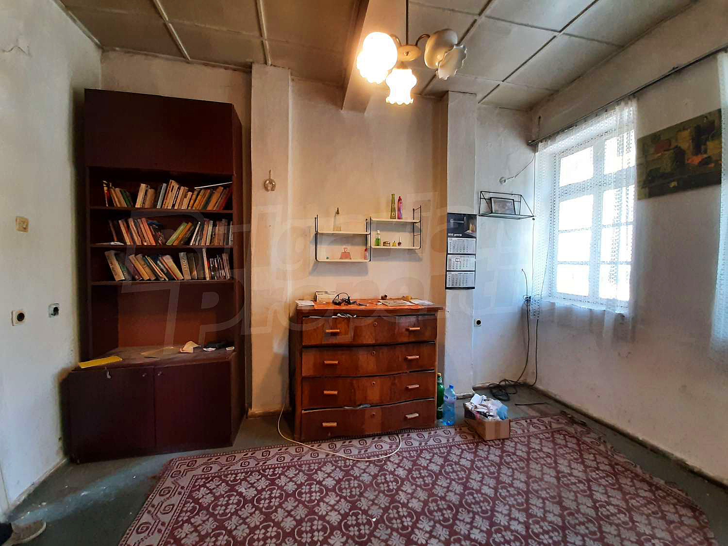 Gallery Picture 11