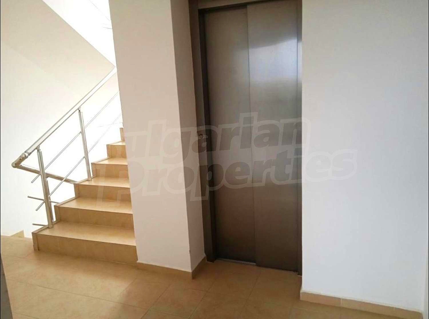 Gallery Picture 13