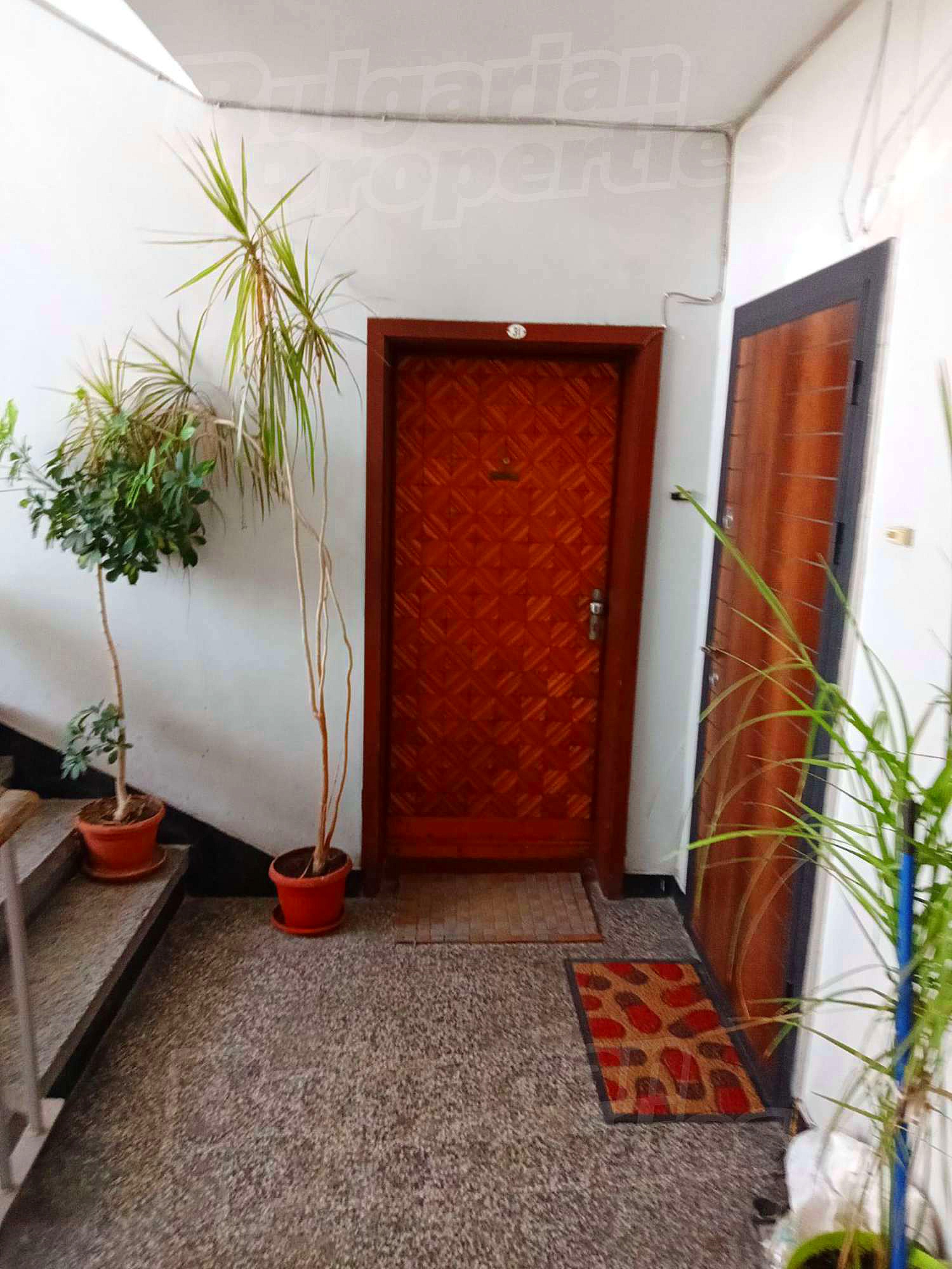 Gallery Picture 15