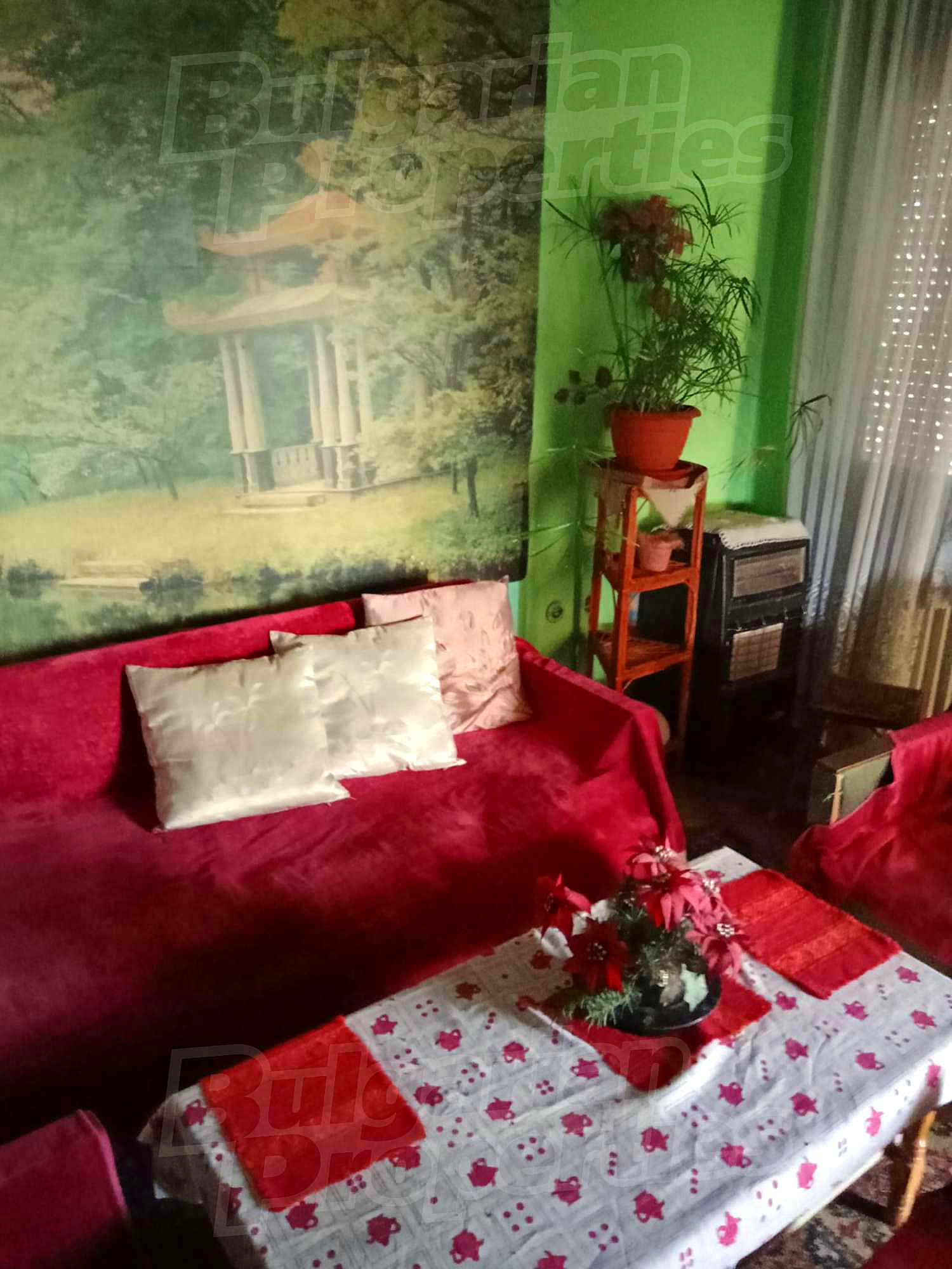 Gallery Picture 11