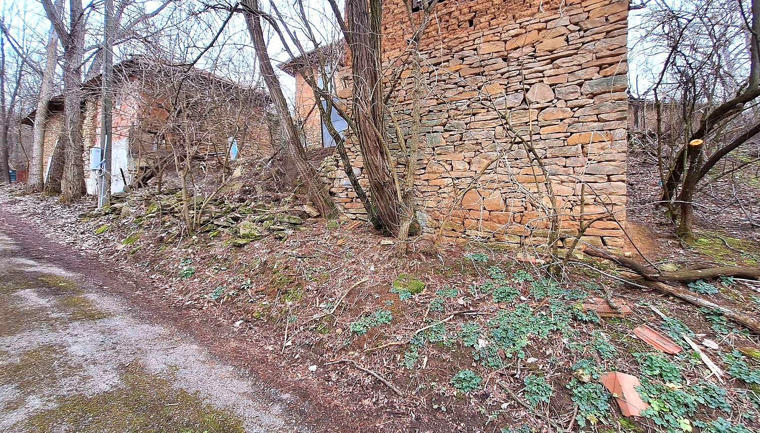 Gallery Picture 11