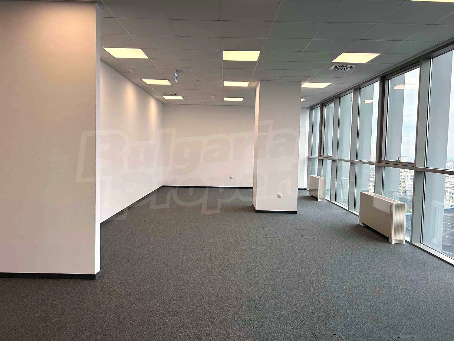 Gallery Picture 14