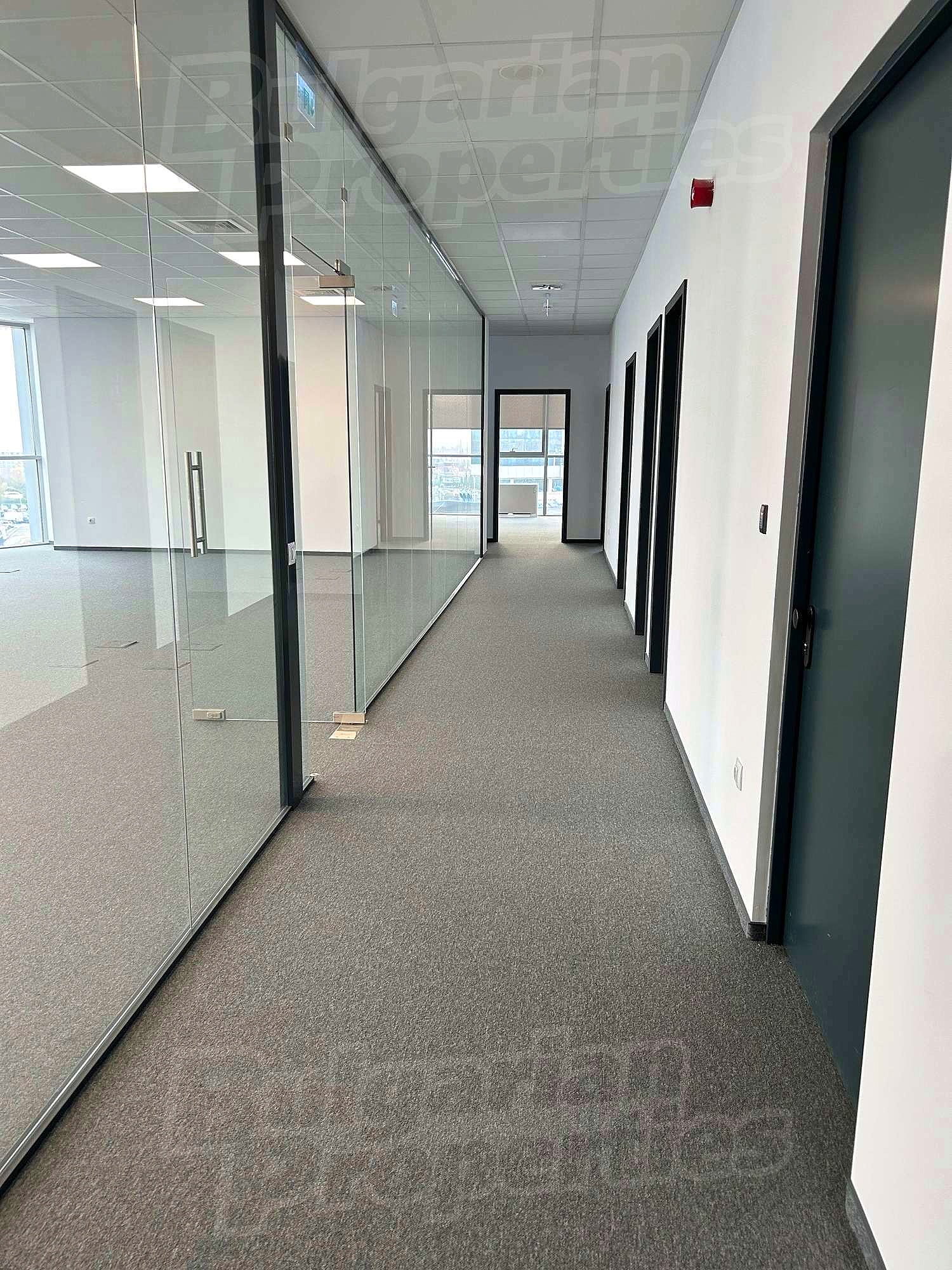 Gallery Picture 8