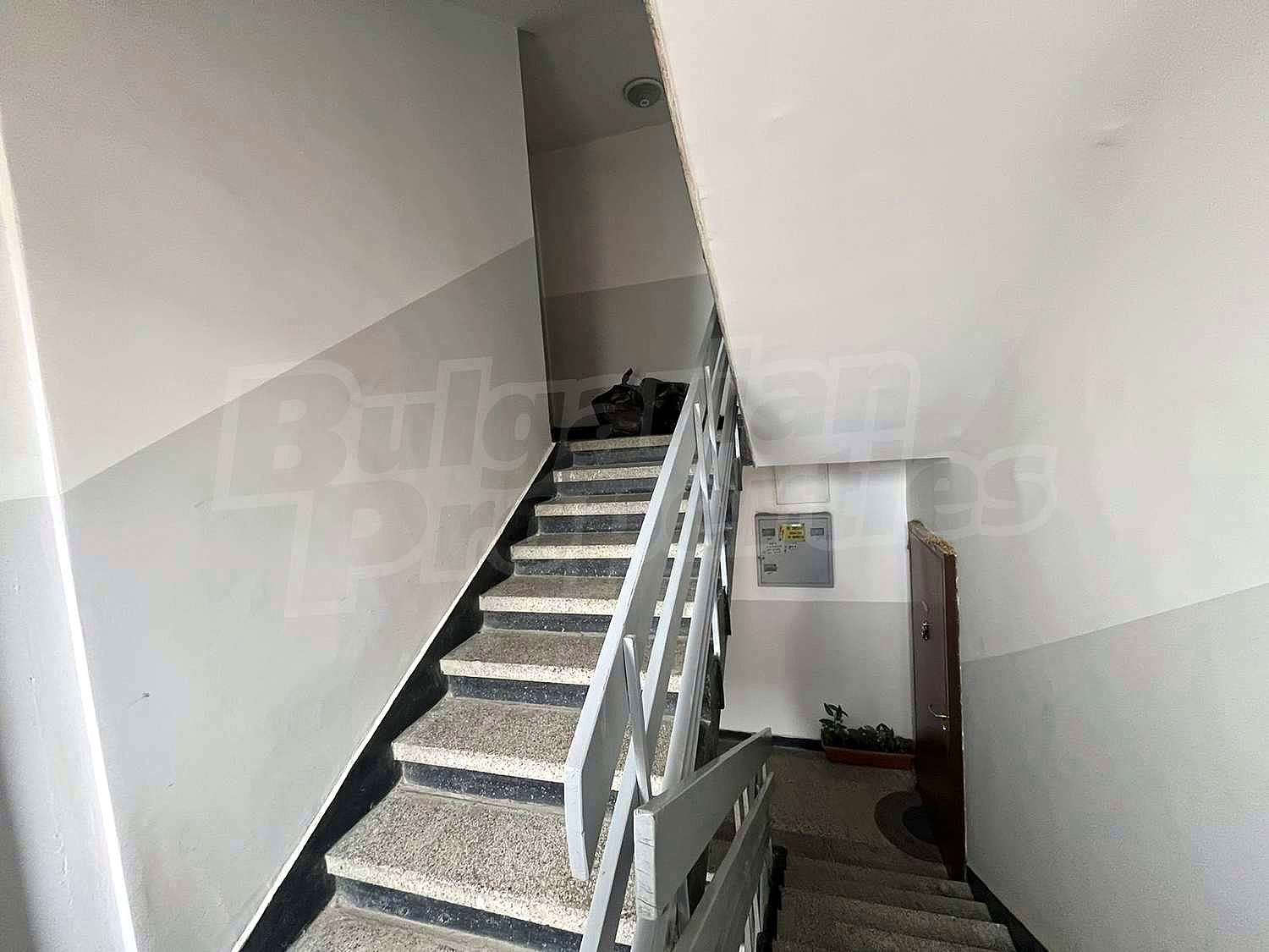 Gallery Picture 18