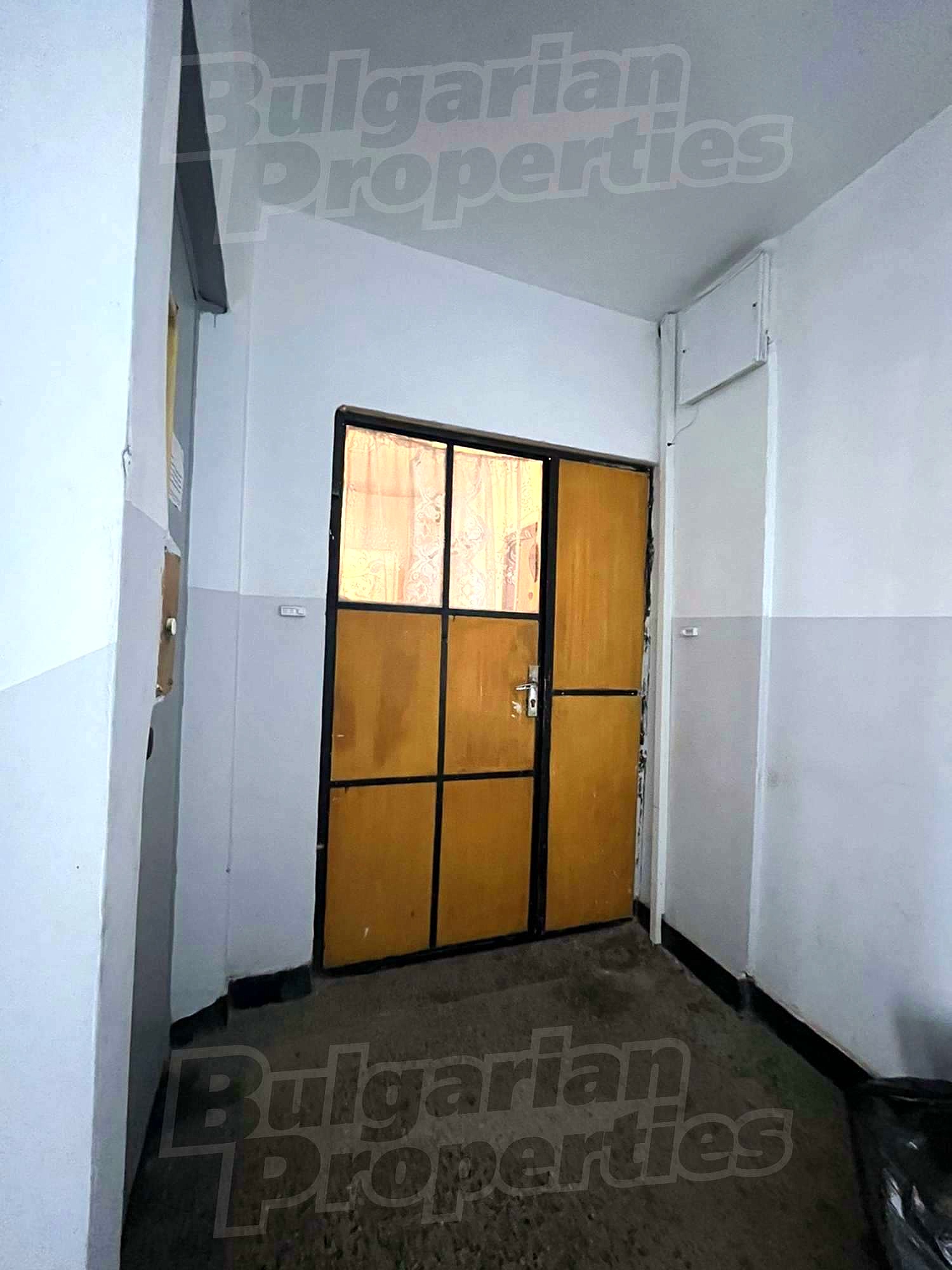 Gallery Picture 19
