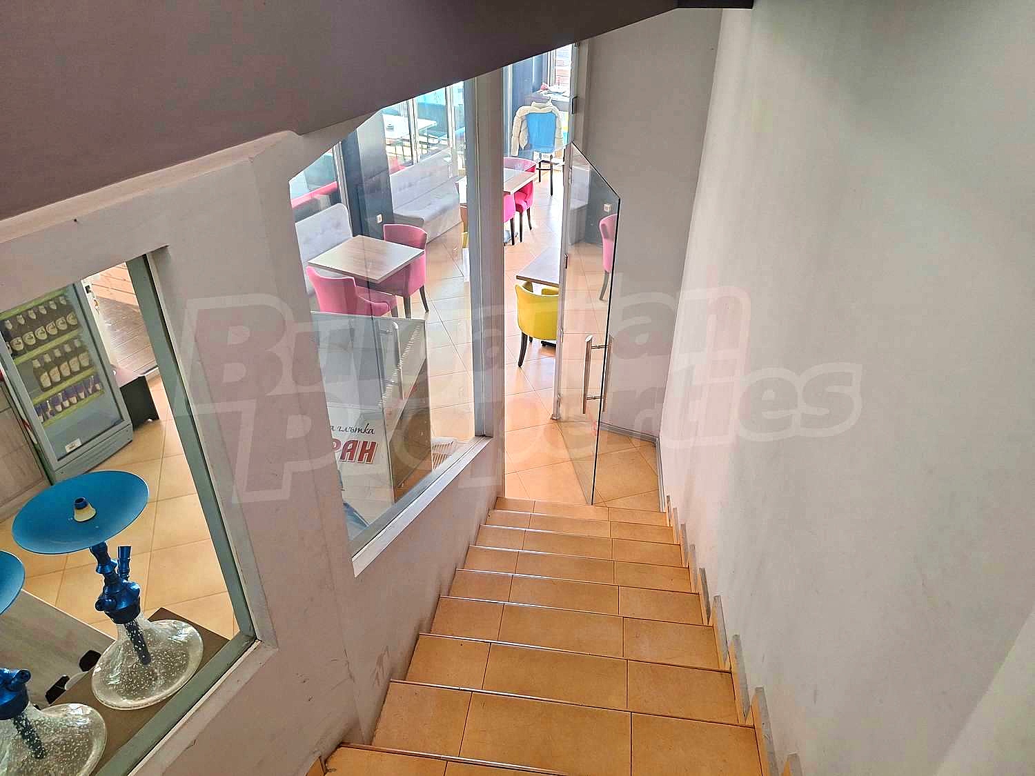 Gallery Picture 13