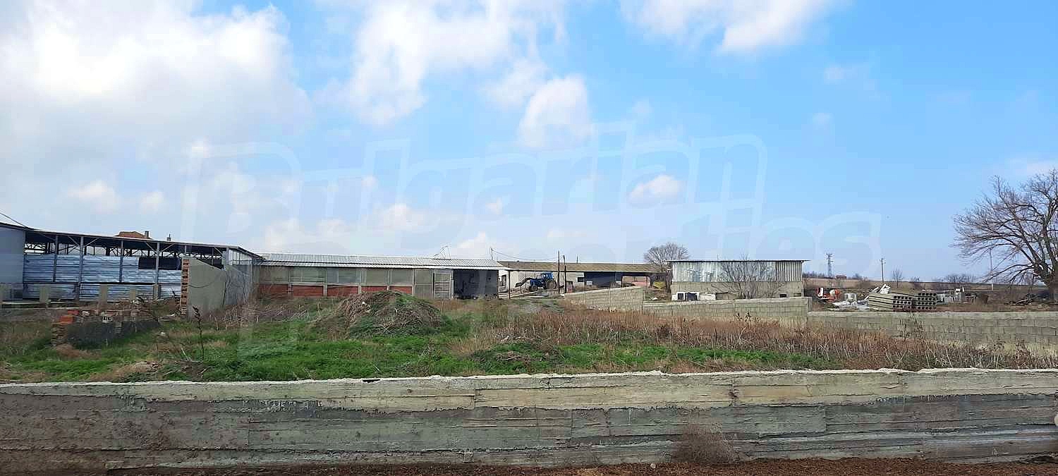 Gallery Picture 35