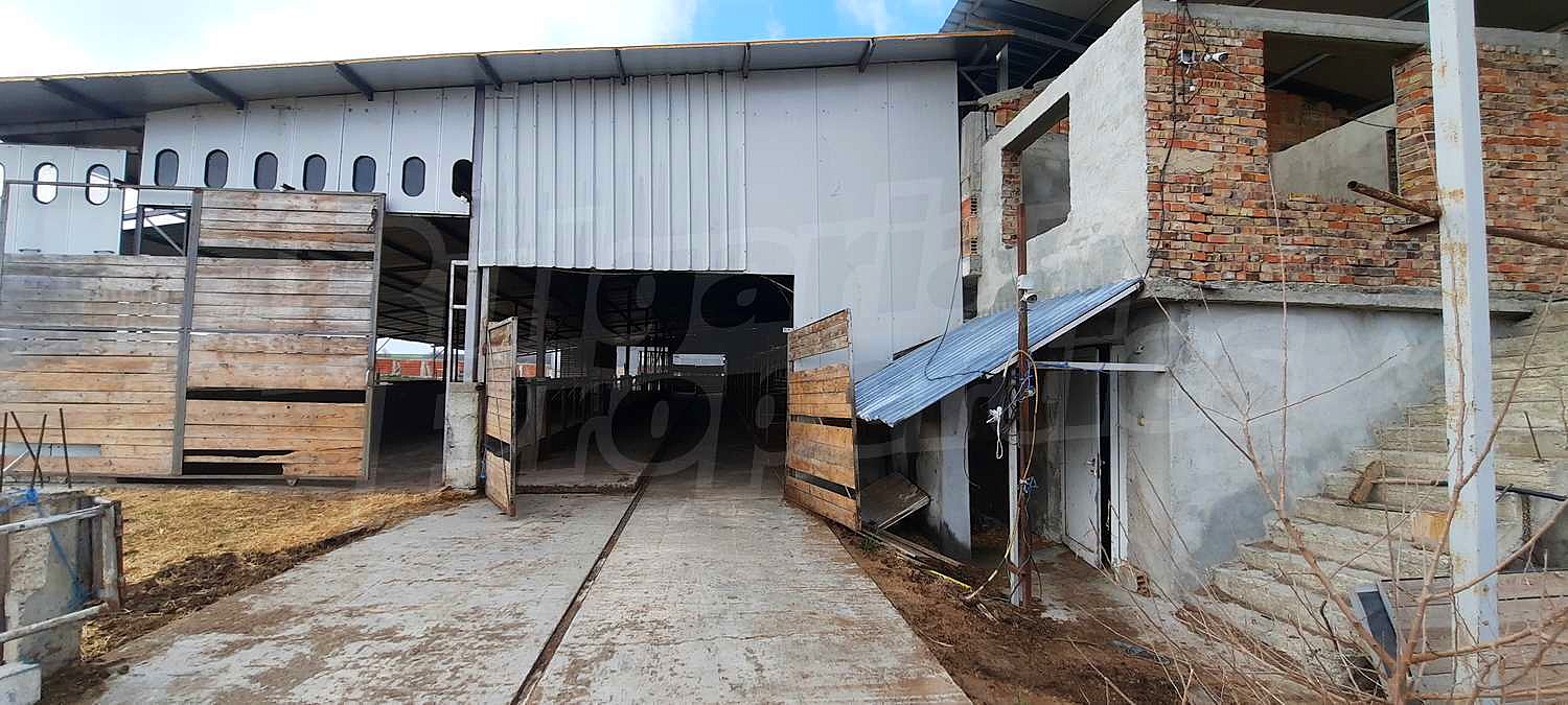 Gallery Picture 40