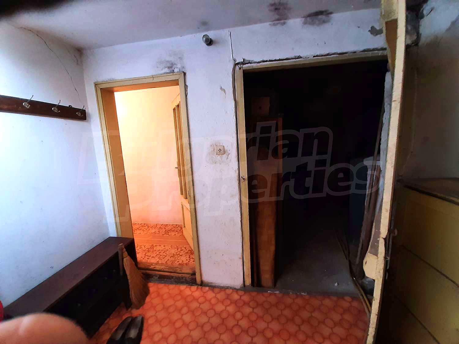 Gallery Picture 32