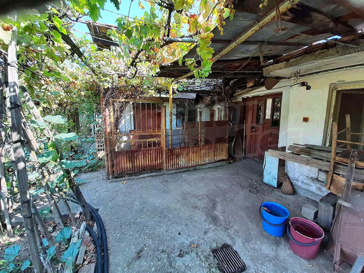 Gallery Picture 36