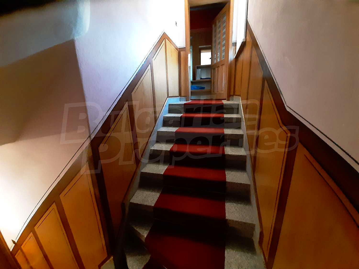 Gallery Picture 26