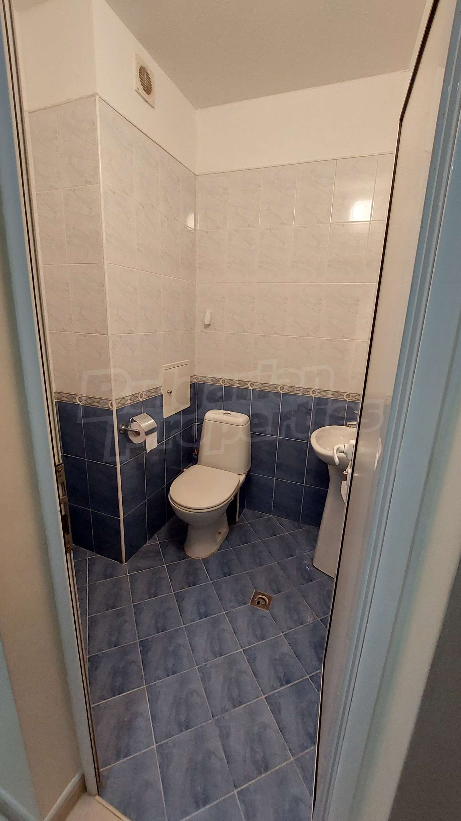 Gallery Picture 17
