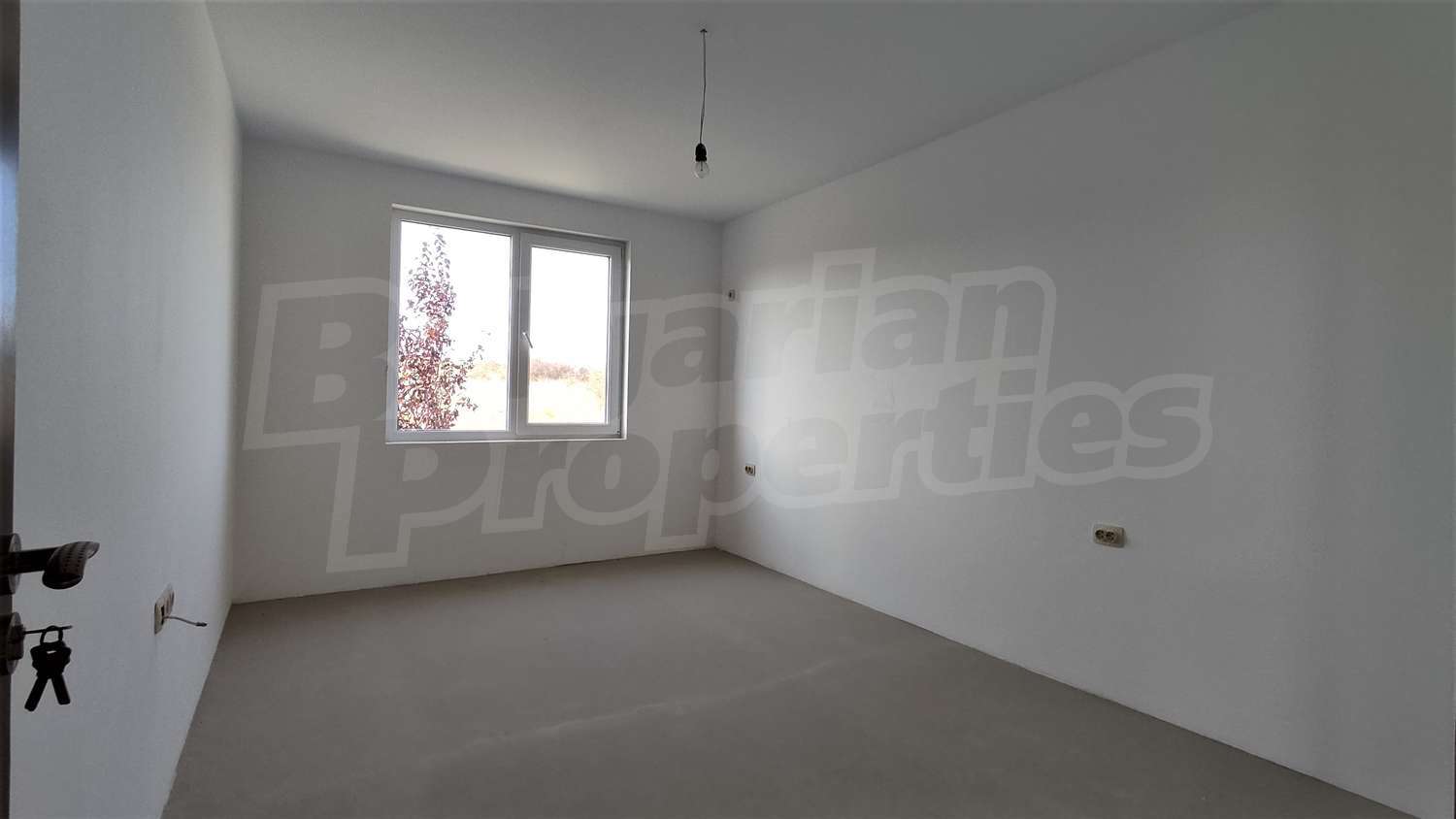 Gallery Picture 11