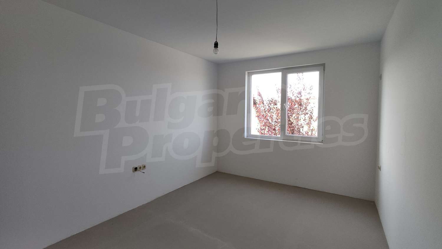 Gallery Picture 12