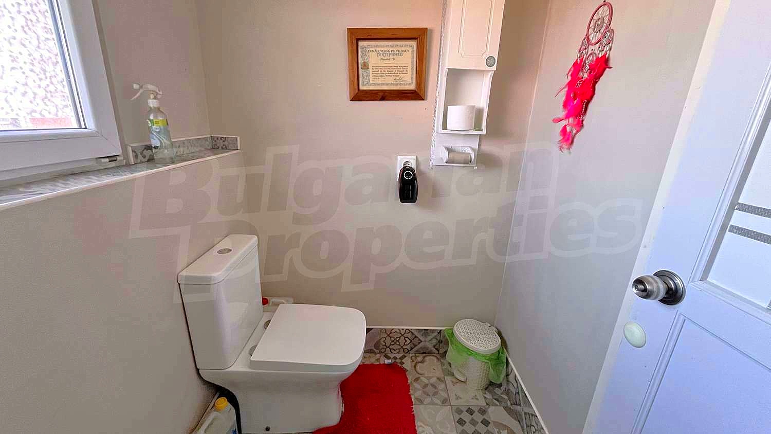 Gallery Picture 19